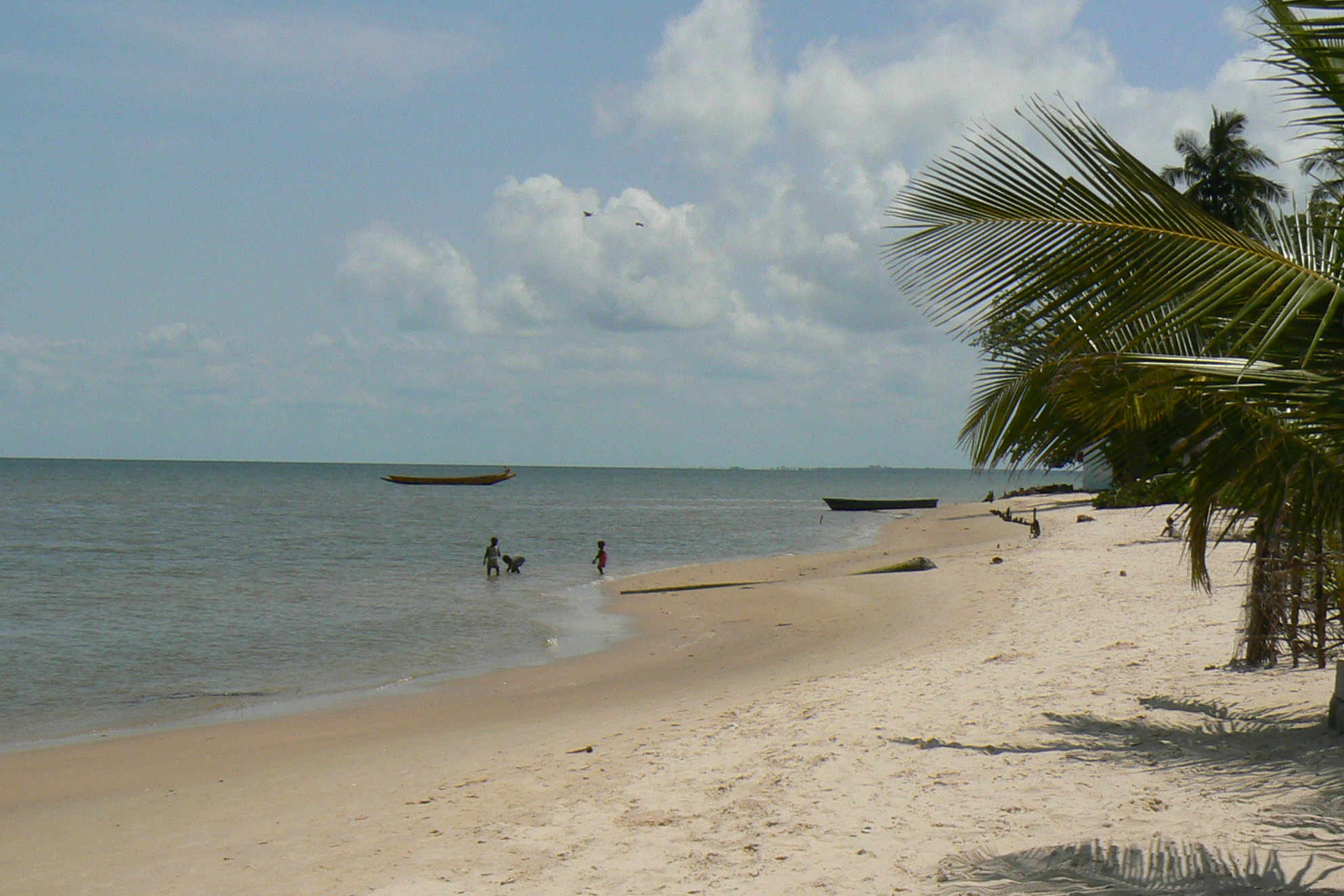 paradise.jpg